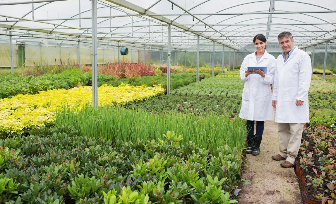 How To Start Up A Plant Nursery | Start Up Donut