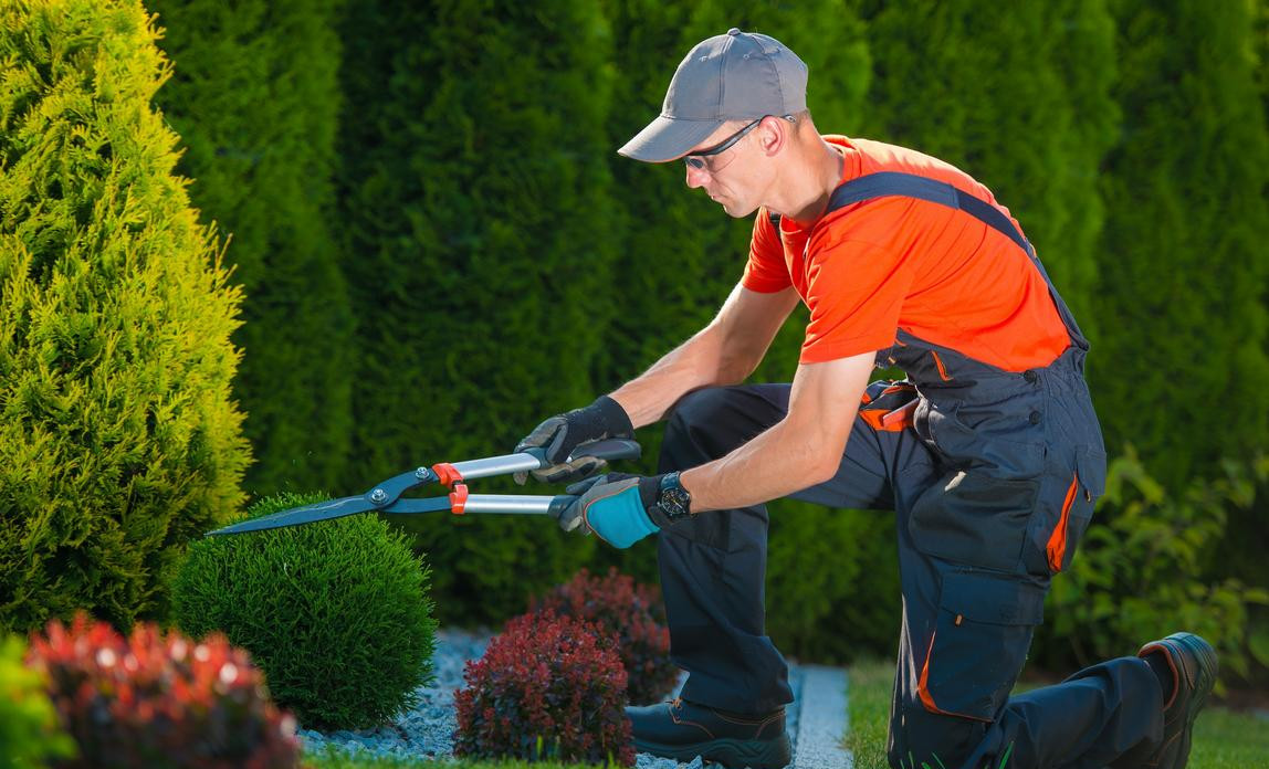 Lawn Mowing