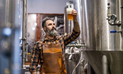 A man is checking the quality of his micro brewery beer