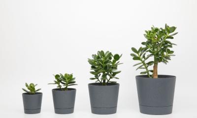 Venture capital can help you grow your small business at scale