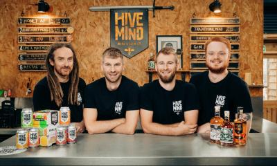 The team behind Hive Mind