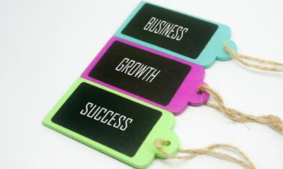 Three multicoloured wooden tags with 'BUSINESS', 'GROWTH', and 'SUCCESS' written on them