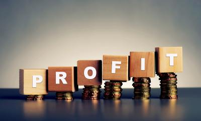 Word PROFIT on wooden blocks rasied up each letter
