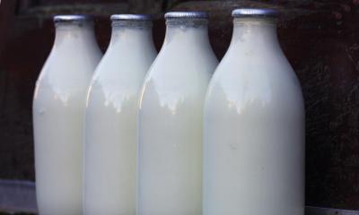 Four glass bottles of milk with black background