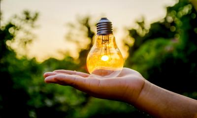 Q&A: Trade Marks Hand holding a lightbulb with greenery in the background