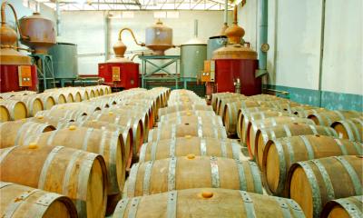 Scottish whiskey distillery with rows of barrels