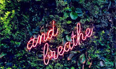 Neon sign saying And breathe against a backgroud of jungle leaves