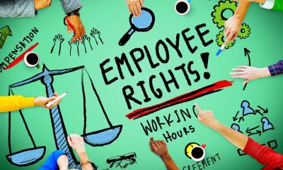 Employee rights graphic Employee rights graphic