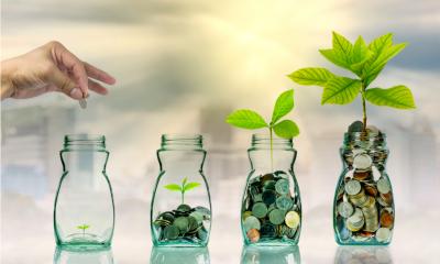 A row of glass jars with plants growing in them representing the Enterprise Investment Scheme